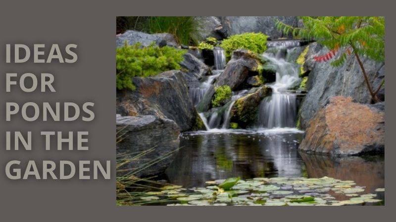 ideas for ponds in the garden