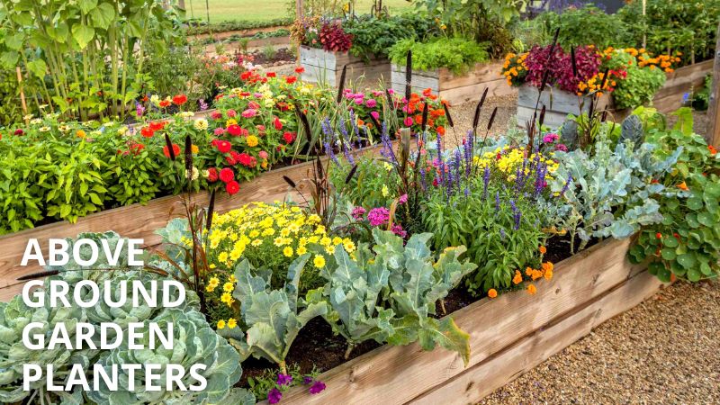 Top 10 Benefits of Using Above Ground Garden Planters