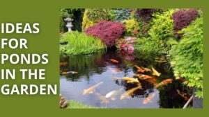 Top 9 Inspiring Ideas for Ponds in the Garden: From Small to Large