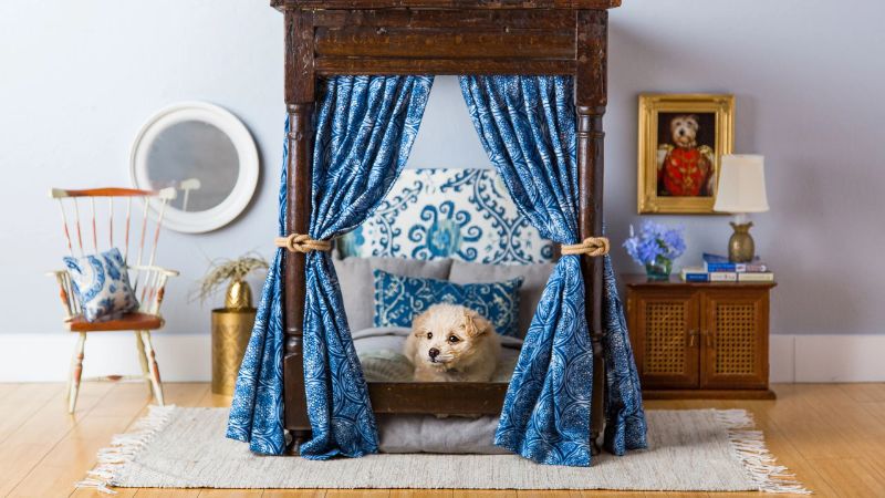 luxury dog bedroom decor