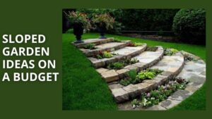 10 Creative Sloped Garden Ideas on a Budget